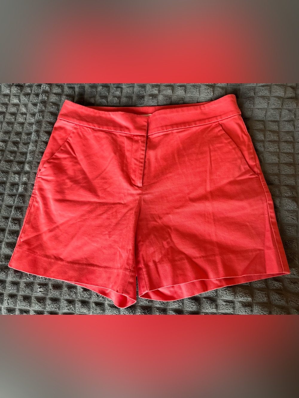 LOFT Size 6 Coral-Pink Tailored Bermuda Shorts Salmon